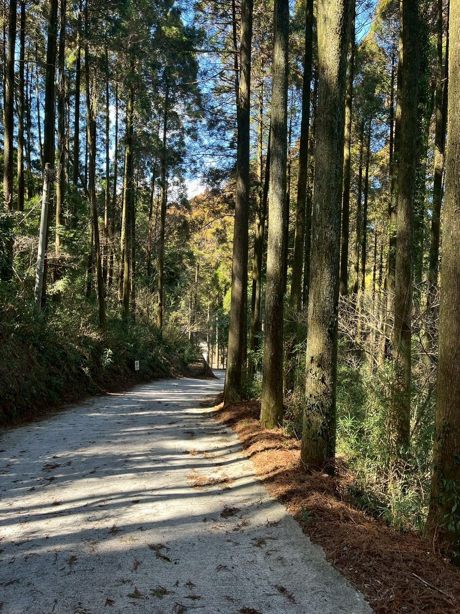 下り宮の参道