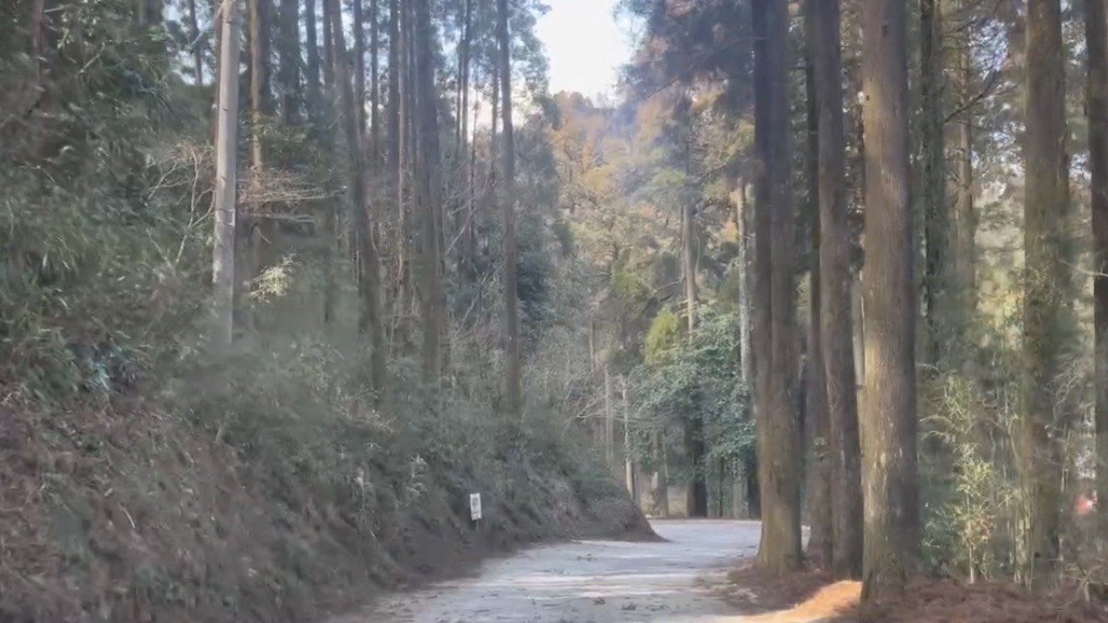 下り宮の参道